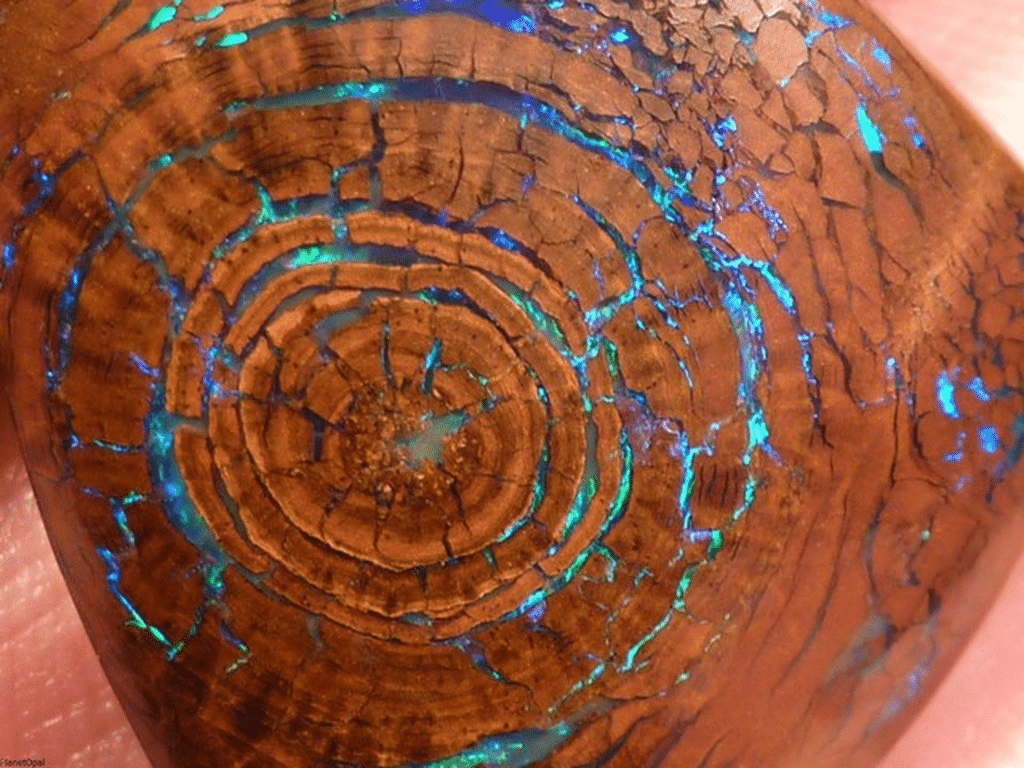 Un viejo tronco de madera vuelve a la vida gracias a la resina y al pigmento fluorescente.