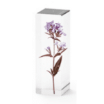Encofrado rectangular: ideal para realizar fantásticas creaciones de 15,5×5,5 cm